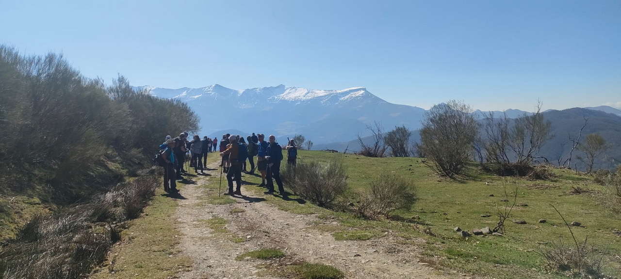 WhatsApp Image 2026-03-23 at 08.13.58 (3)